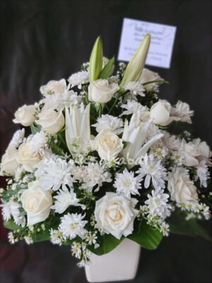 Thoughtful Sentiment