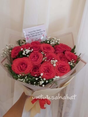 Serendipity Red Rose