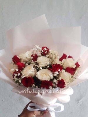 Poetic Red and White Rose