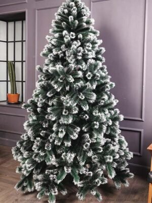 Alaska Rainbow Fir Tree