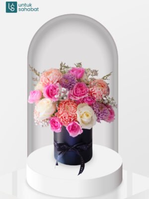 Bloombox BSD 4