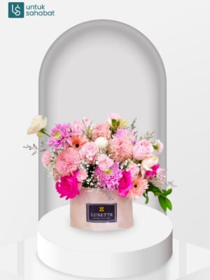 Bloombox BSD 5