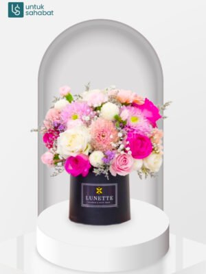 Bloombox BSD 6
