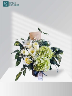 Bloombox Magelang 11