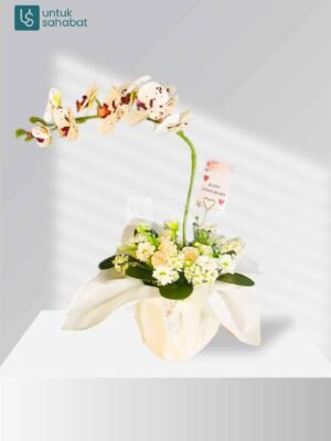 Bloombox Ponorogo 14