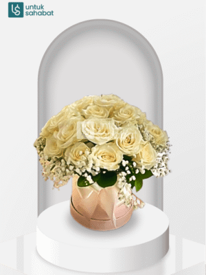 Bloombox Pontianak 12