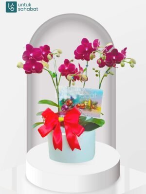 Bloombox Tanjung Redeb 3