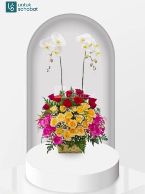 Bunga Anggrek Karawang 6