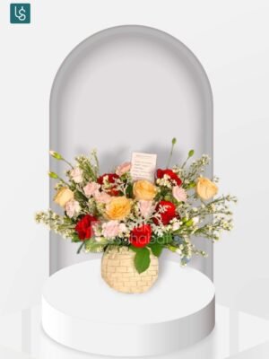 Bunga Meja Bengkulu 8