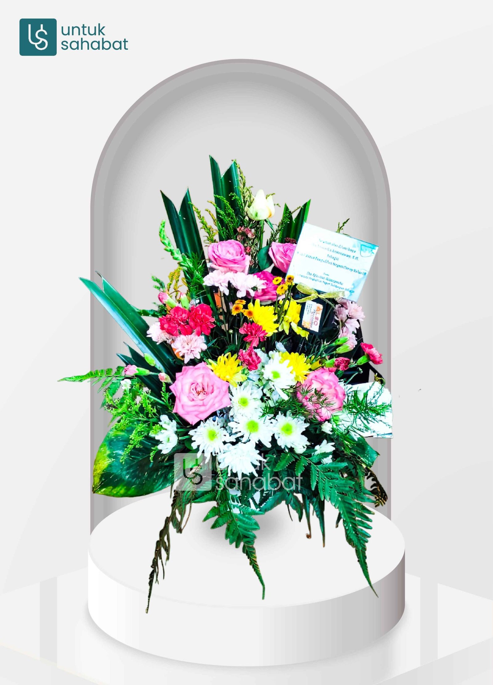 Bunga Meja Bengkulu 9