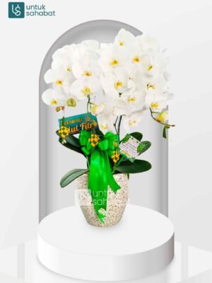 Bunga Meja Bojonegoro 1