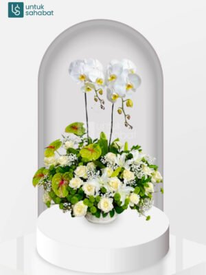 Bunga Meja Denpasar Bali 2