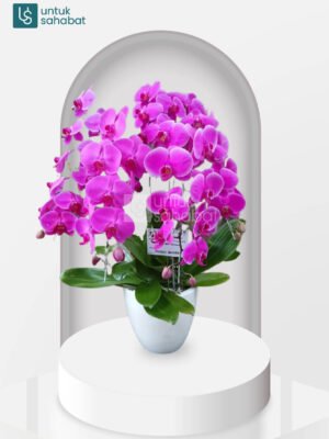 Bunga Meja Depok 3