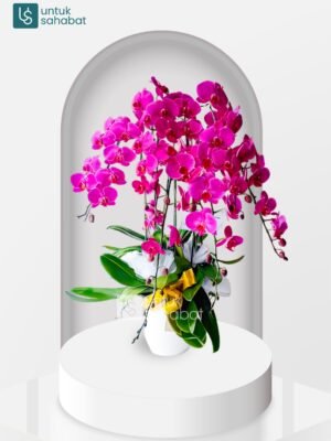 Bunga Meja Magelang 9