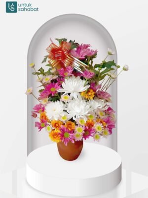Bunga Meja Makassar 1