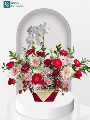 Bunga Meja Pandeglang 1