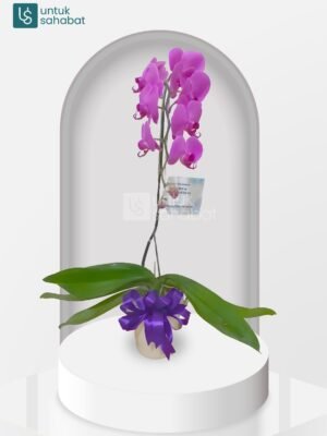 Bunga Meja Tangerang 14