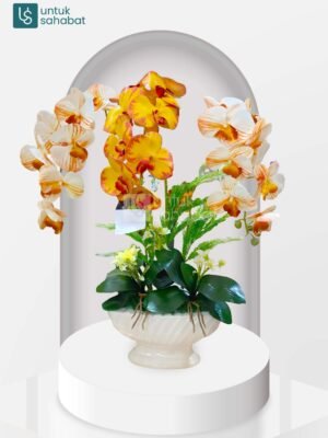 Bunga Meja Ternate 12