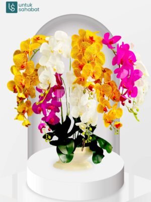 Bunga Meja Ternate 13