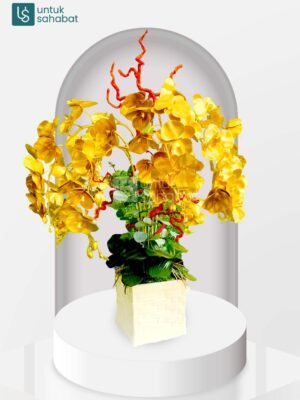 Bunga Meja Ternate 3