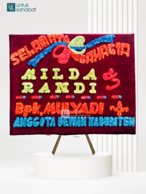 Papan Wedding Pasaman 8