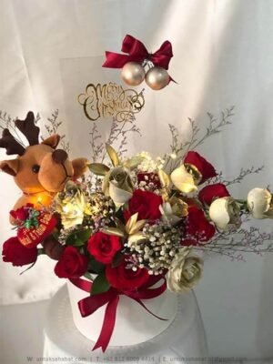 Reindeer Box Jakarta