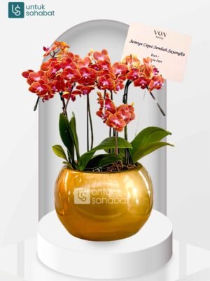 Standing Flower Yogyakarta 16