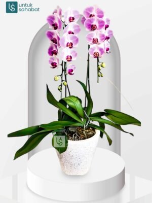 Standing Flower Yogyakarta 19