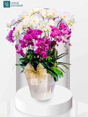 Standing Flower Yogyakarta 23