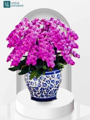 Standing Flower Yogyakarta 24