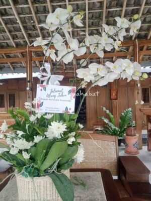 Bunga Meja Anggrek 02